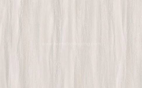 Six Reasons Why SPC Flooring Has Become The New Favorite of The Flooring Industry!