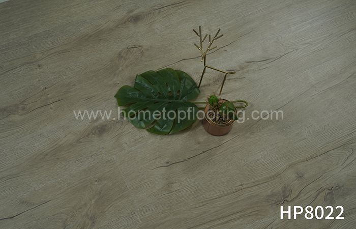 Decoration Spc Flooring HP8022